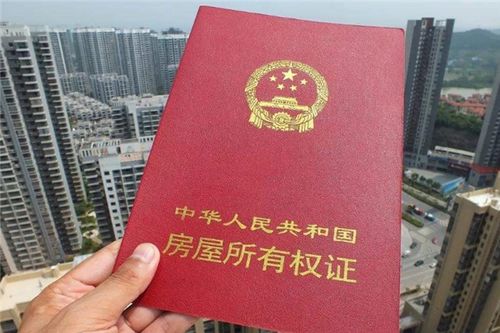 表姑妈夺房产怎么称呼