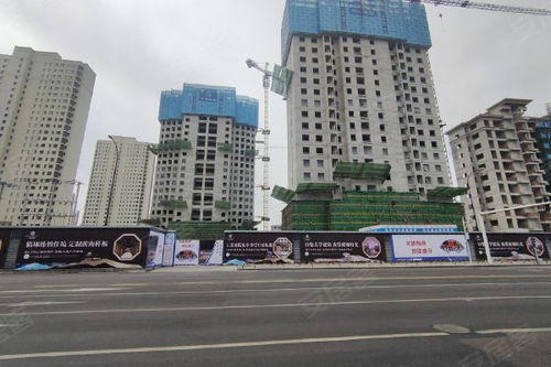 天成房产置业怎么样