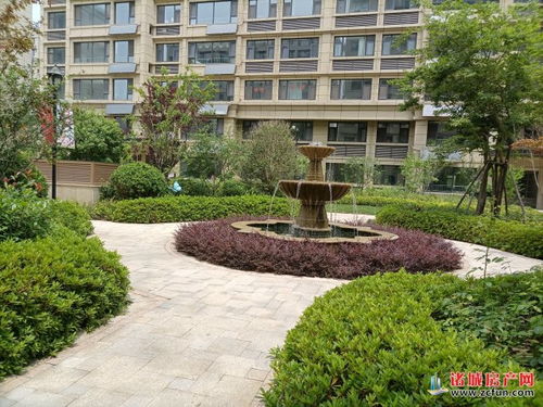 诸城欣悦房产怎么样