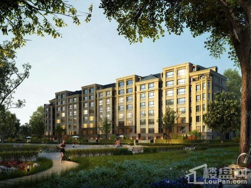 销售哈尔滨房产怎么样