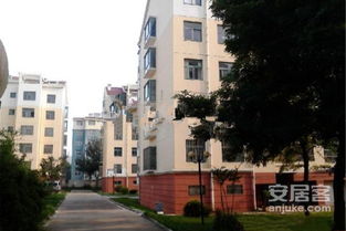 青岛本地房产怎么样