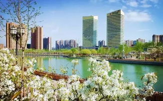 库尔勒鼎力房产怎么样