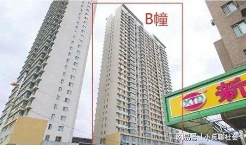 哈尔滨房产怎么打产调