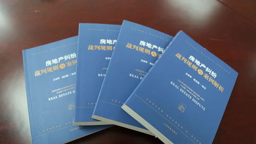 房产纠纷记录怎么写