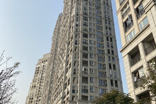 杭州科尔房产怎么样