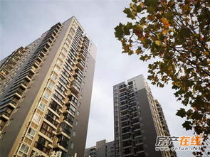 元优房产怎么样 元优房产怎么样