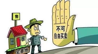 农村房产继承官司怎么打