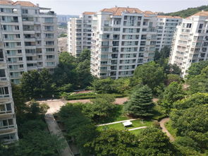 顶佳房产怎么样