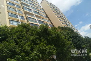 怎么样才能独立房产