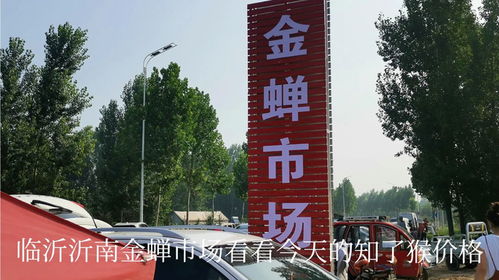 沂南房产补贴怎么办理 沂南房产补贴怎么办理