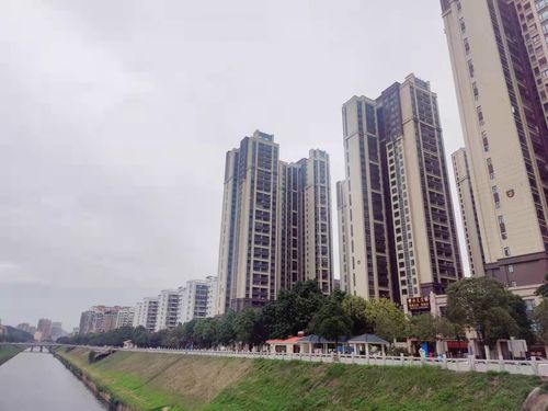 国家收储房产怎么操作