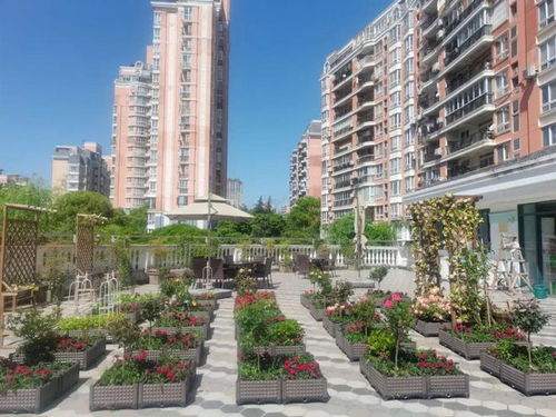 空中花园房产视频怎么拍