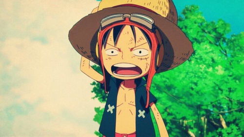 杭州路飞房产怎么样