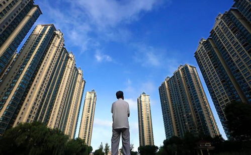 知恩房产咨询怎么样