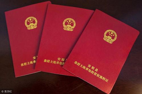 朋友房产确权怎么办理