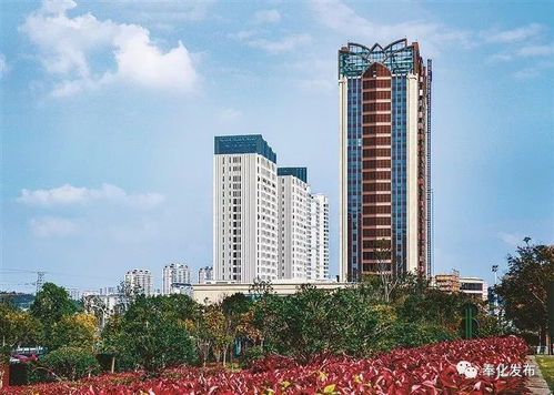 奉化房产政策怎么样