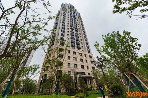 河西房产怎么选房子 河西房产怎么选房子