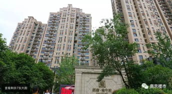 河西房产怎么选房子 河西房产怎么选房子