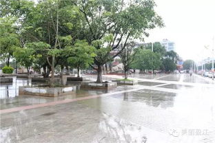 盈江大树房产怎么样