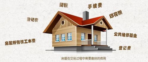 东乡房产契税怎么交的