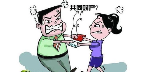 再婚离婚了房产怎么分