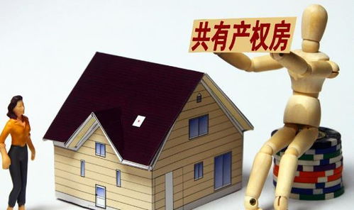 共有房产权怎么分割