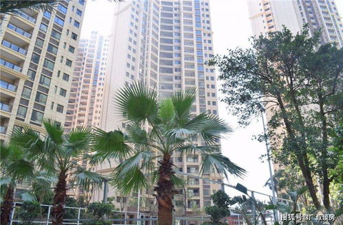 房产捡漏怎么找到资深人