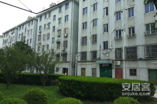 育虎房产怎么样 育虎房产怎么样