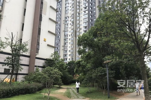 道远房产怎么样