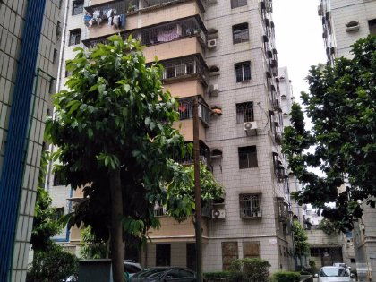 尉氏春秋房产怎么样