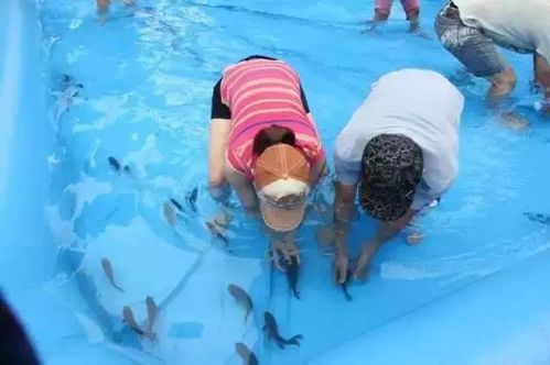 房产达人2怎么修泳池