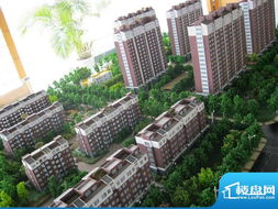 聊城小雪房产怎么样