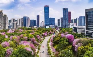 柳州百亩房产怎么投诉