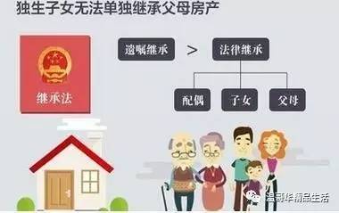 成年子女房产套数怎么算