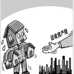 绥化房产税怎么征收