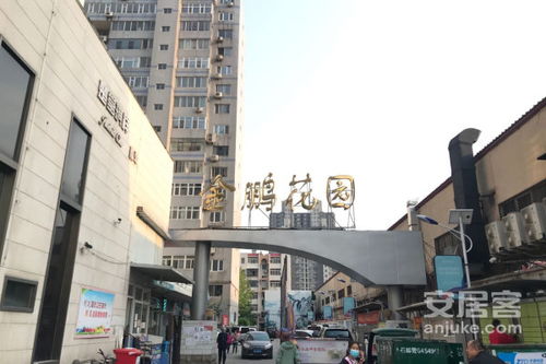 泰兴金鹏房产怎么样