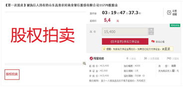 网上怎么联名竞买房产 网上怎么联名竞买房产