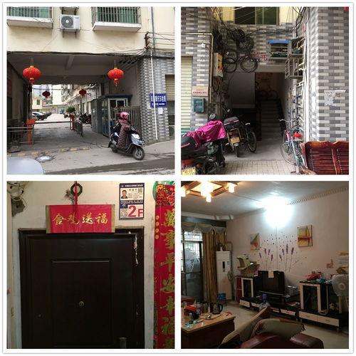 法院房产拍卖怎么挂价