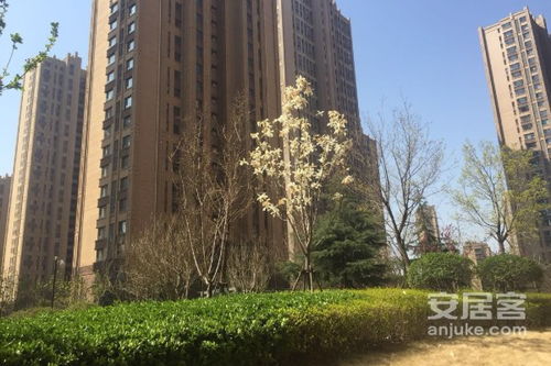 湖南绿地房产怎么样