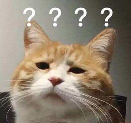 偷亲妈房产怎么办