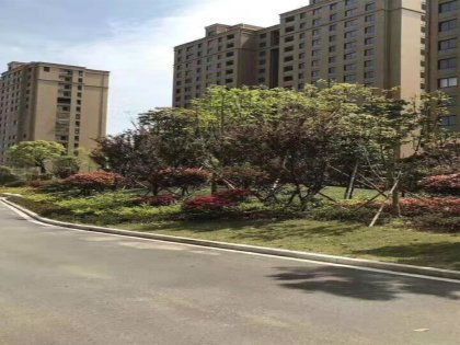 欣隆盛房产怎么样