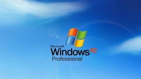 手机房产达人怎么睡觉