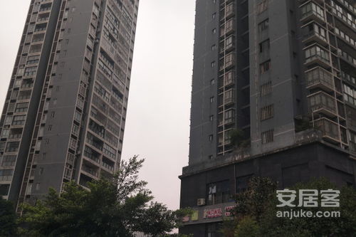 鑫鑫房产怎么样