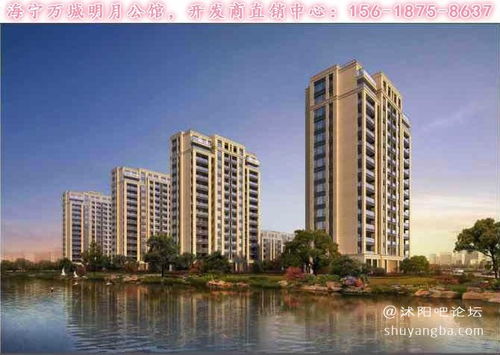 沭阳张伟房产怎么样