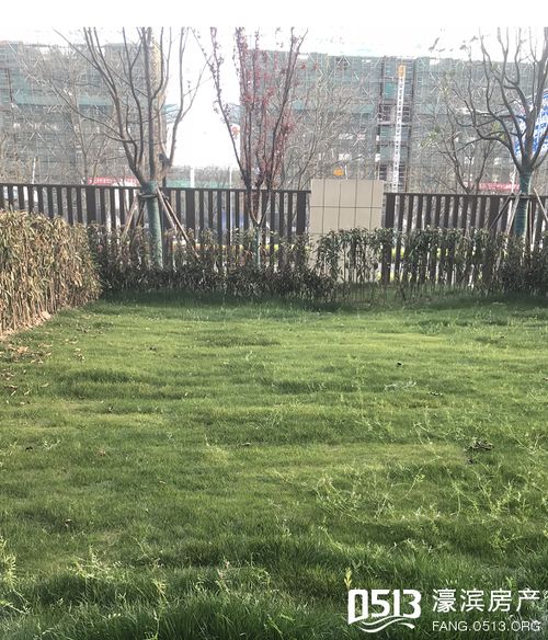 房产达人2怎么盖草坪