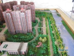 房产大楼盘信息怎么查