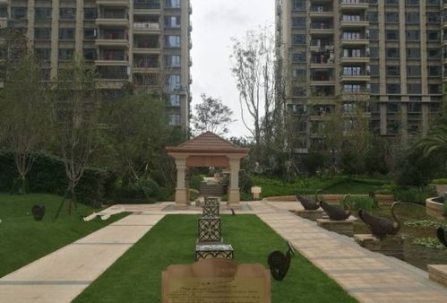 农村房产绵阳怎么过户的