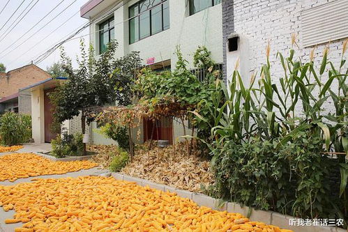 农村房产绵阳怎么过户的