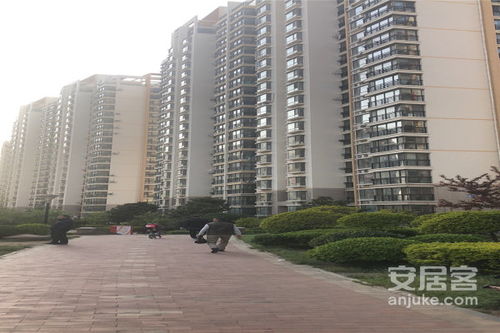 青岛袖珍房产怎么样