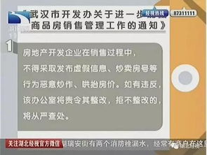 倒卖房产怎么处理的